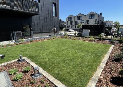 Ogród przydomowy w Krakowie - maj 2024_4